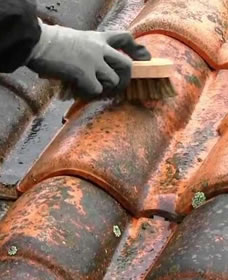 Travaux de démoussage avec Zepp Corsellis 83